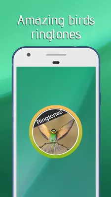 Birds Ringtones Free 2018 android App screenshot 4